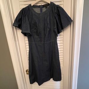 NWT Denim flare sleeve dress